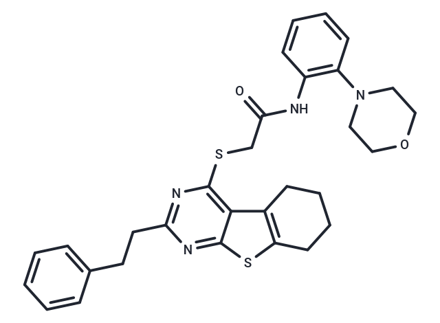 化合物 iHCK-37|T40594|TargetMol