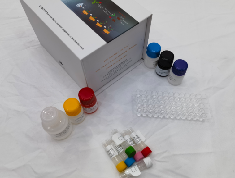 兔过氧化物酶体增殖因子活化受体γ（PPAR-γ）elisa试剂盒