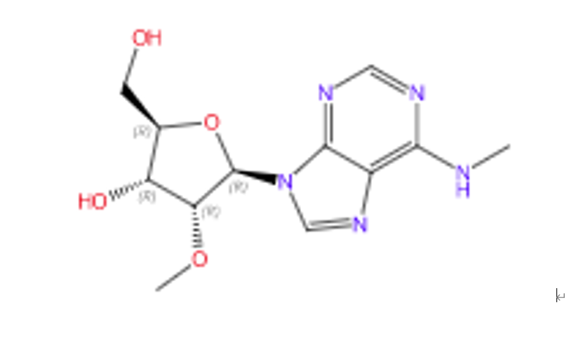 N6-Methyl-2'-O-methy