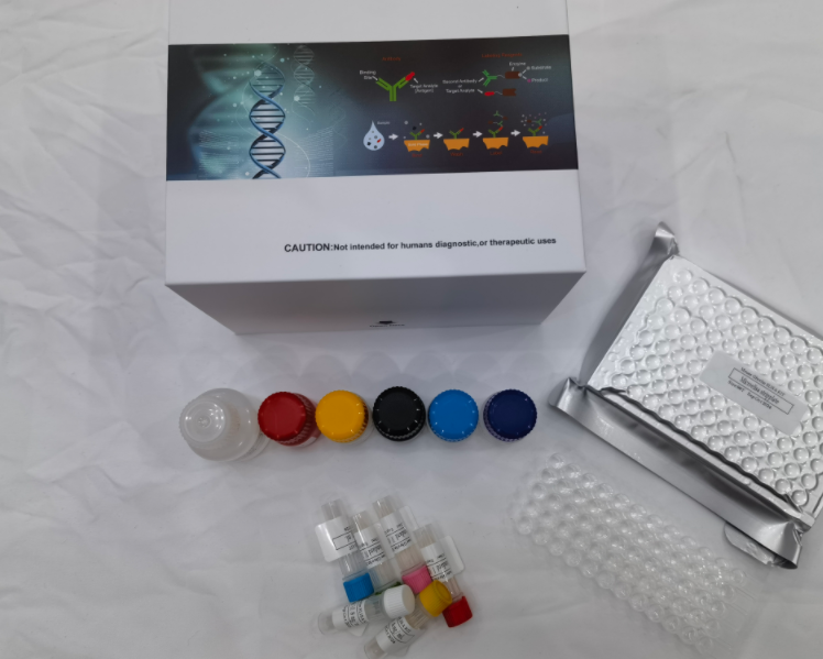 兔细胞色素4502A11（CYP4502A11）elisa试剂盒