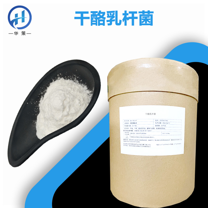 干酪乳杆菌厂家