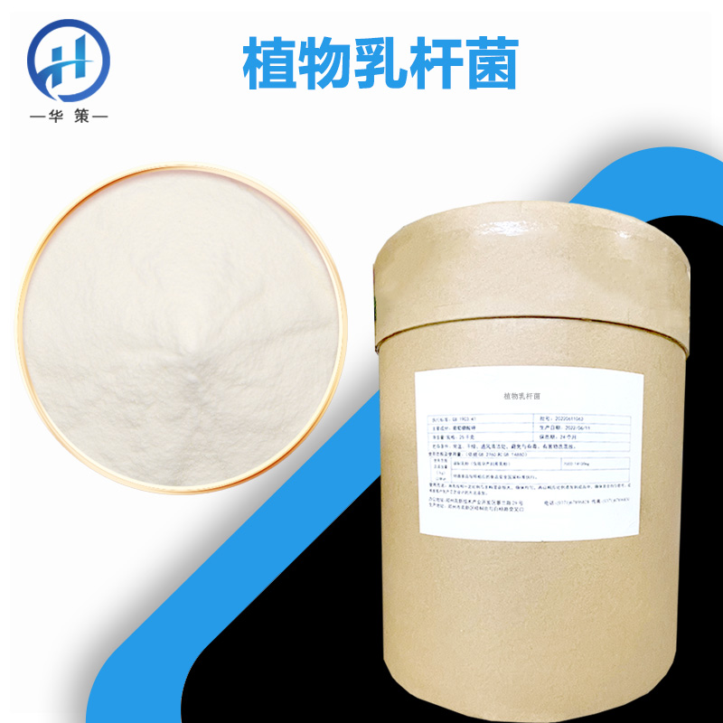 植物乳植杆菌厂家