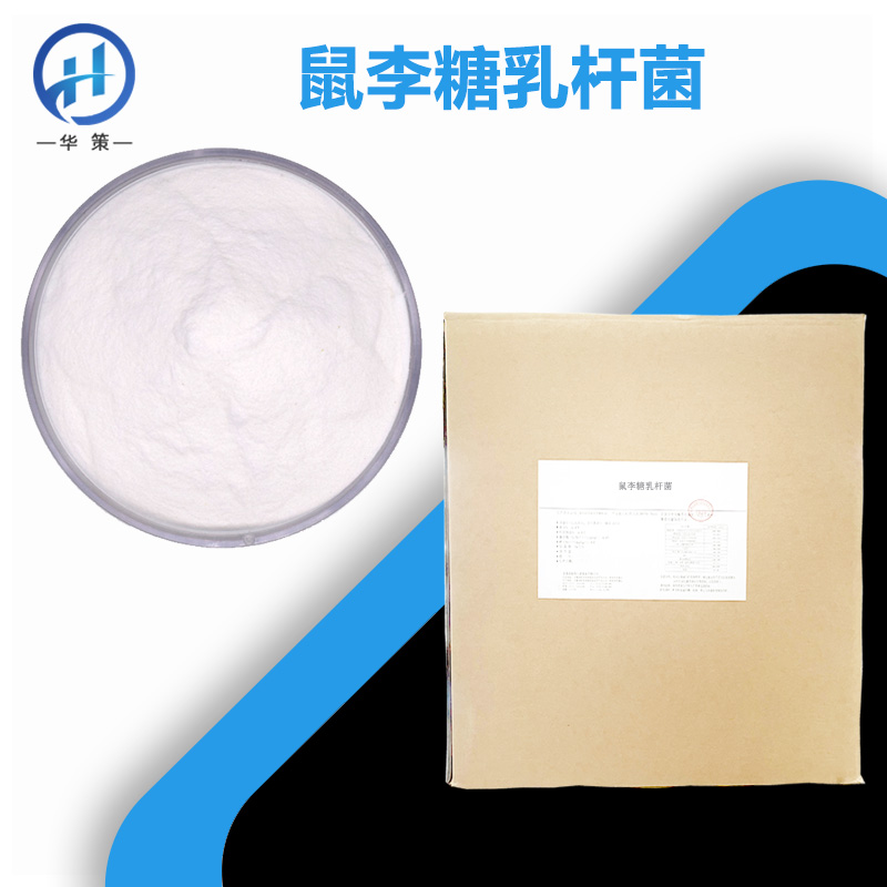 鼠李糖乳酪杆菌厂家
