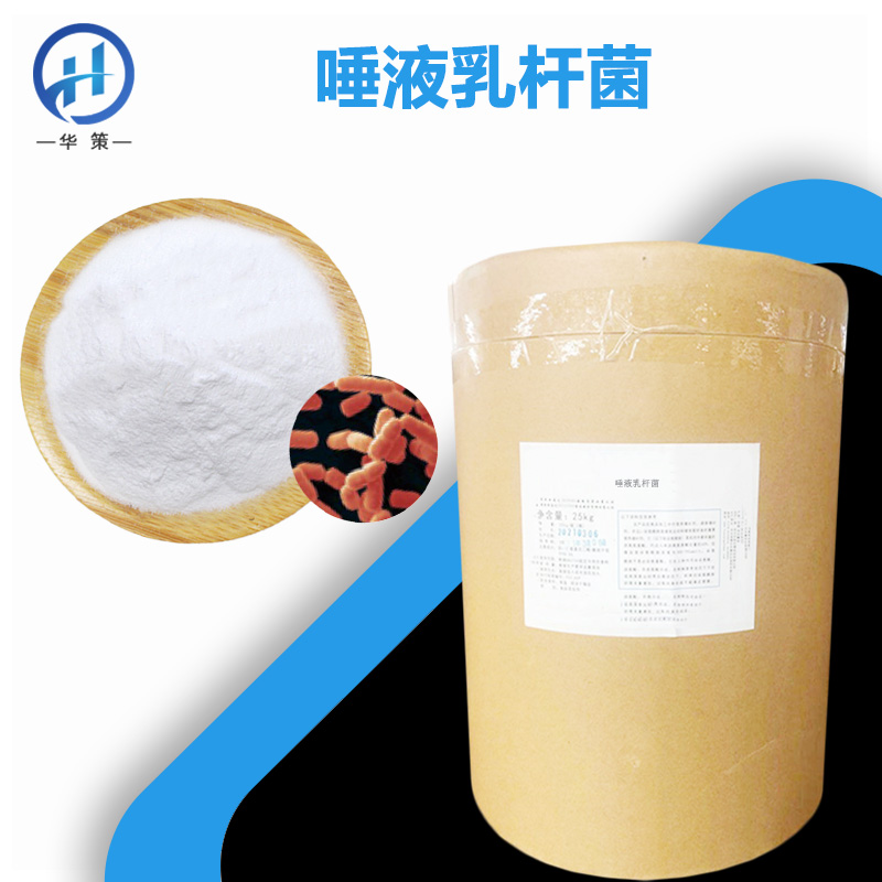 唾液联合乳杆菌厂家