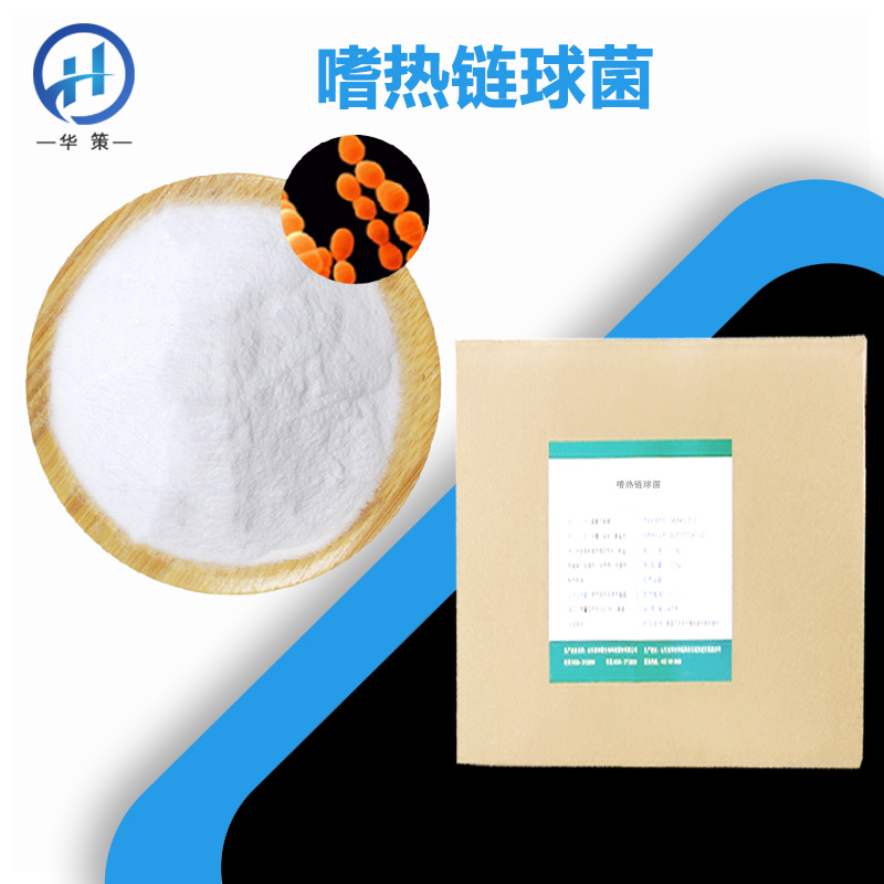 嗜热链球菌厂家