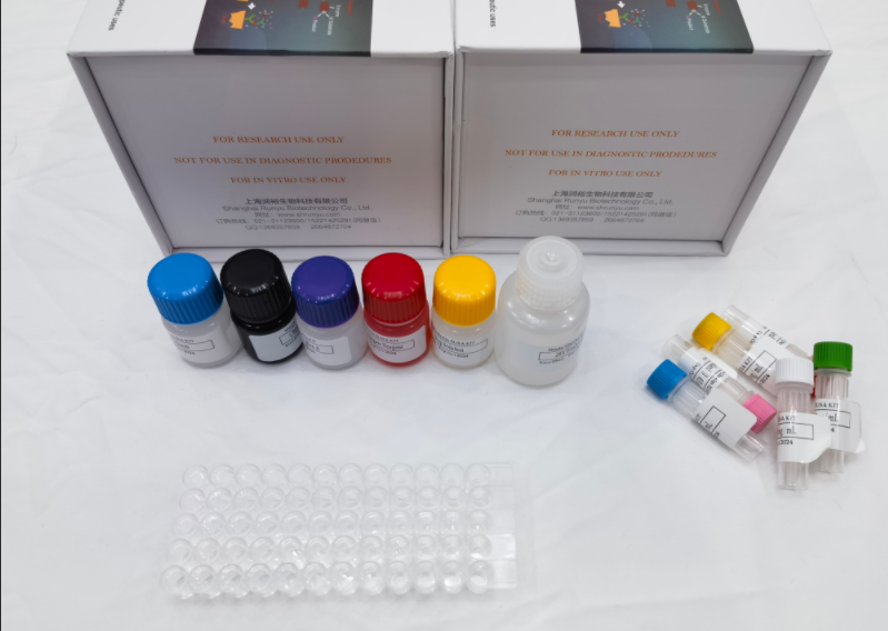 绵羊基质金属蛋白酶抑制剂-2（TIMP2）elisa试剂盒