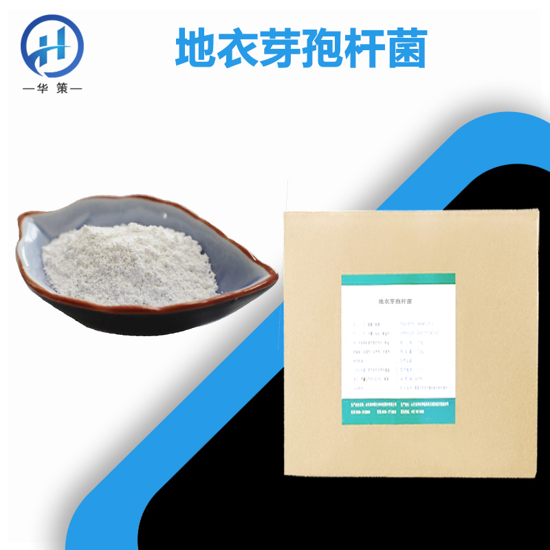 地衣芽孢杆菌厂家