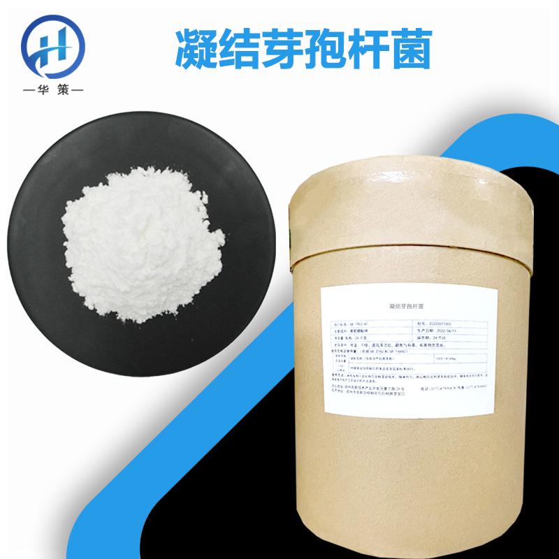 凝结芽孢杆菌厂家