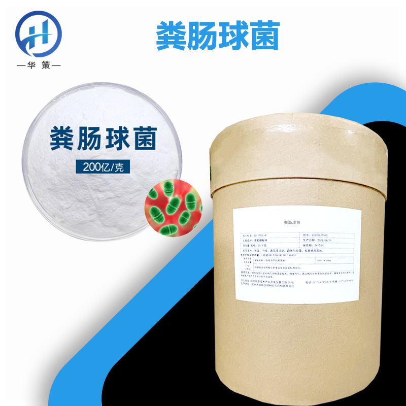 粪肠球菌厂家