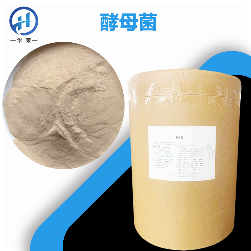 酵母菌厂家
