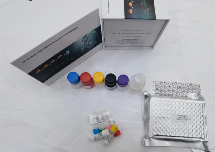 绵羊生长激素结合蛋白（GHBP）elisa试剂盒