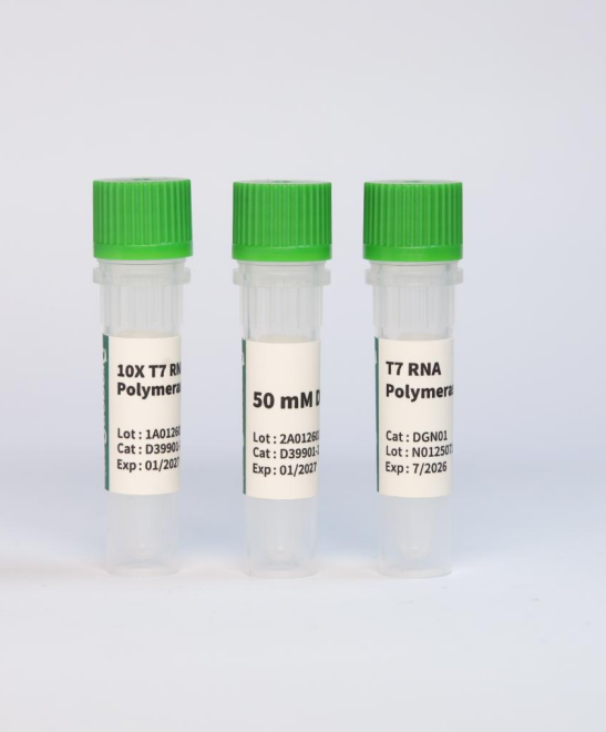 T7 RNA 聚合酶