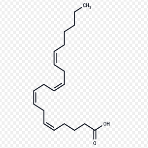 生物素-花生四烯酸，Biotin-AA