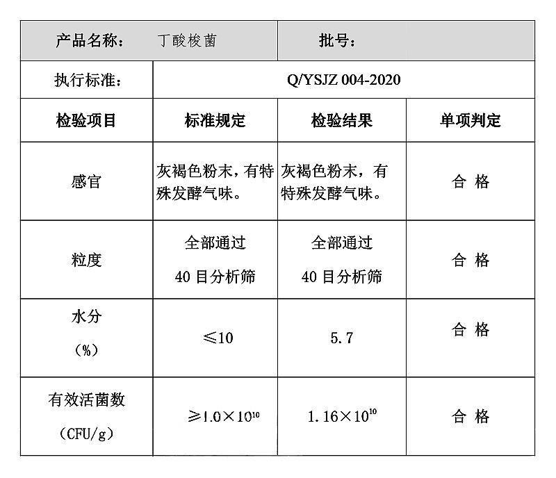 丁酸梭菌.jpg 丁酸梭菌.jpg