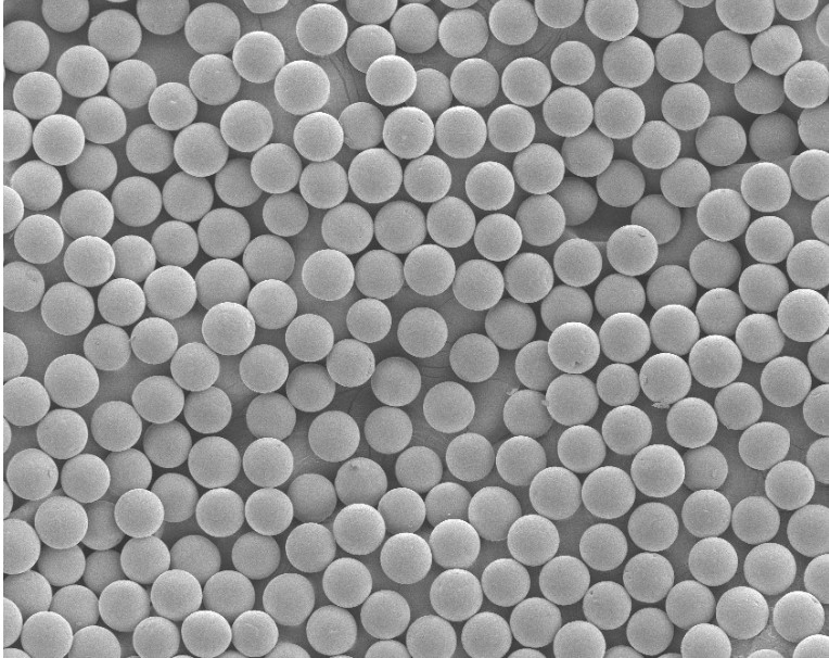 聚外消旋乳酸多孔微球PDLLA微球50微米