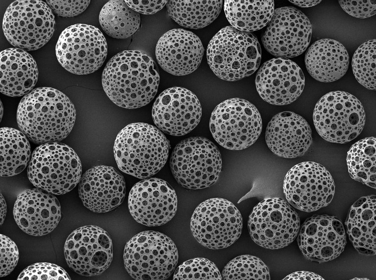 聚外消旋乳酸多孔微球PDLLA微球50微米