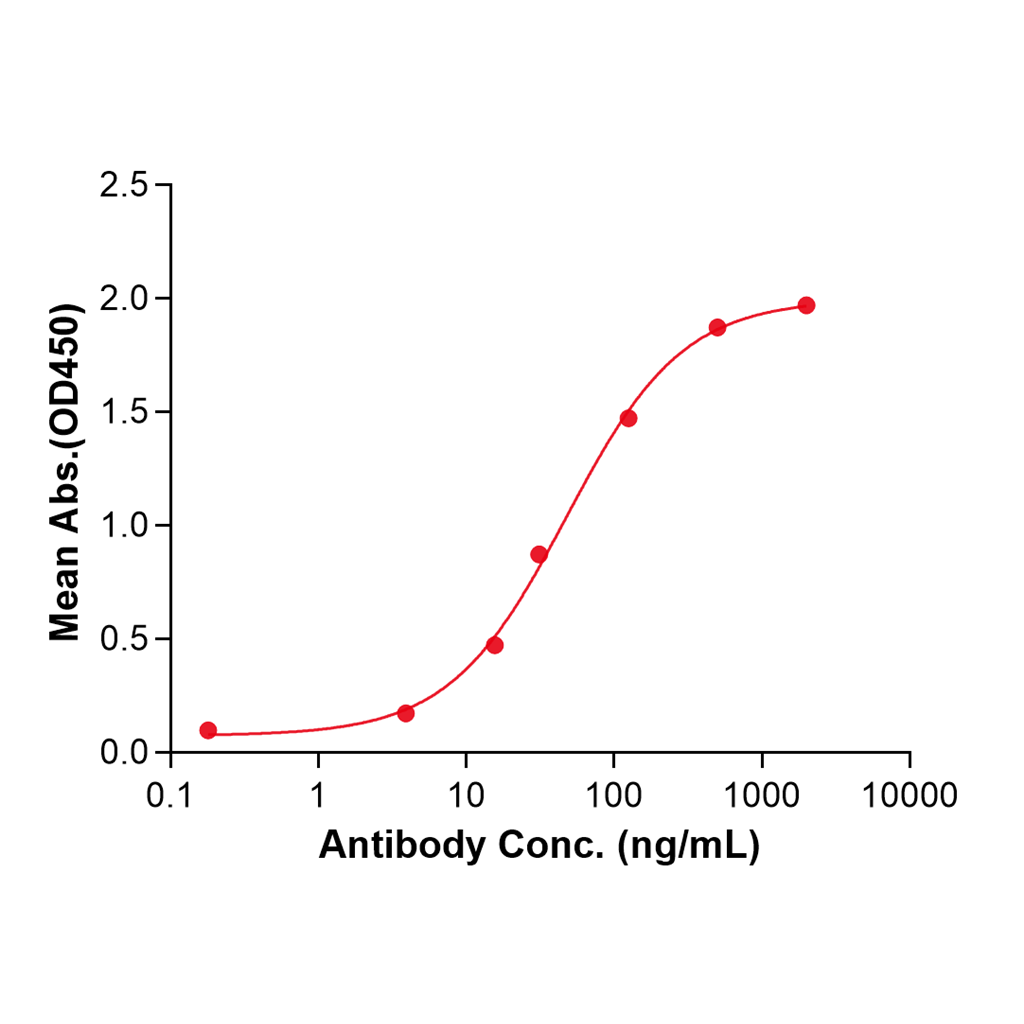 (Xentuzumab)Biosimilar Reference Antibody-GS40807