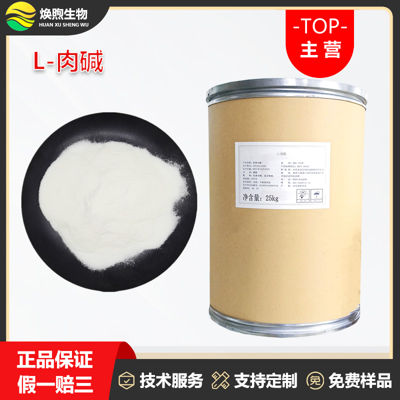 L-肉碱厂家
