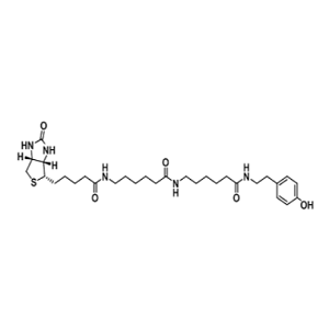 生物素-异戊胺，Biotin-ISOAMYLAMINE