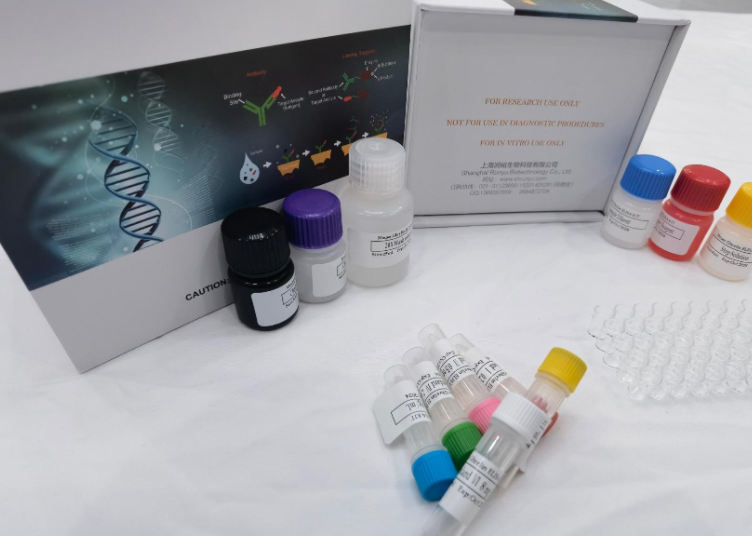 山羊促性腺激素释放激素（GnRH）elisa试剂盒