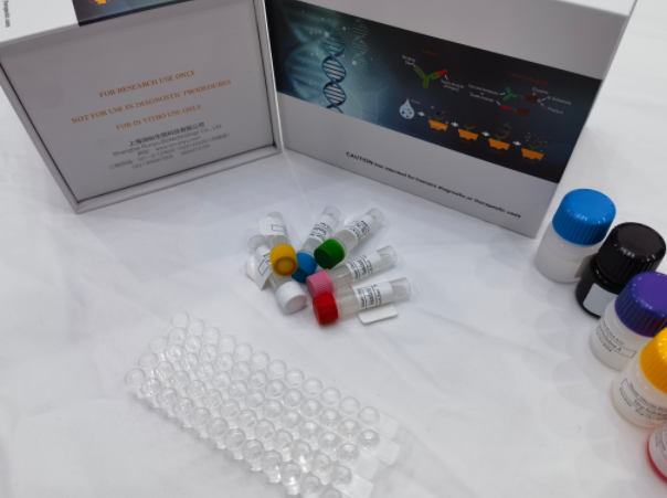 山羊纤溶酶原激活物抑制因子1（PAI-1）elisa试剂盒