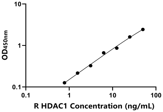 HDAC1 ELISA KIT / 大鼠组蛋白脱乙酰基酶1 ELISA试剂盒