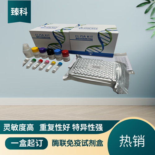 人多药耐药相关蛋白1(MRP1）elisa试剂盒