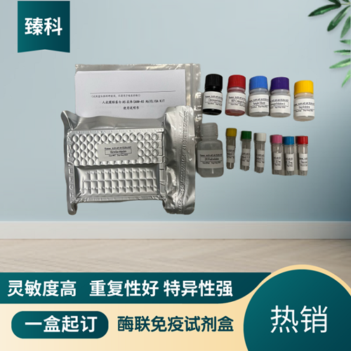 人儿茶酚抑素(CST）elisa试剂盒