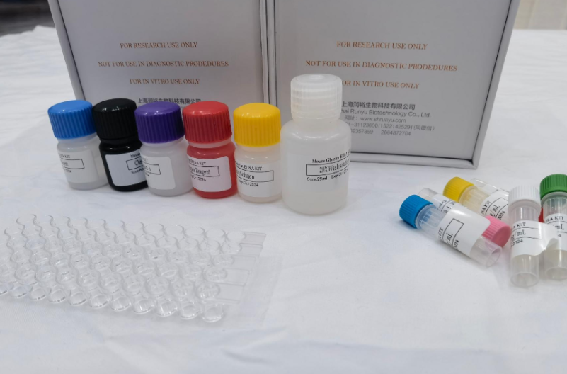 山羊Beclin1（Beclin1）elisa试剂盒