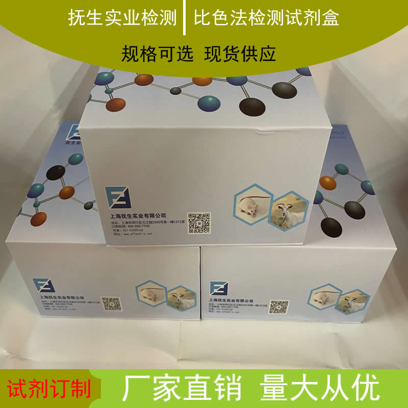 苯丙氨酸解氨酶(PAL)测试盒（比色法）