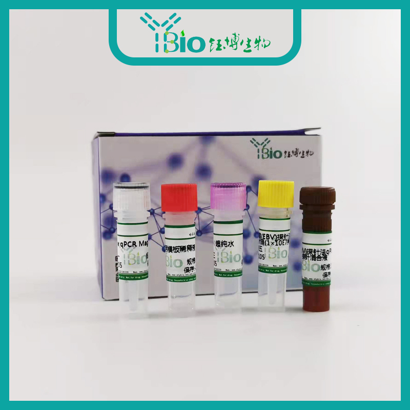 Pasteurella multocida兔巴氏杆菌染料法荧光定量PCR试剂盒 YB-71544DPR