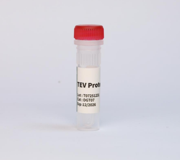 TEV蛋白酶