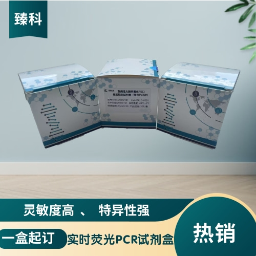 猪细环病毒1型（TTSuV1）核酸试剂盒（荧光PCR法）