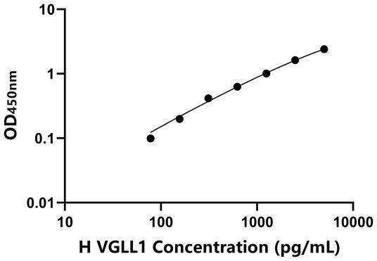 YJ36541.jpg YJ36541.jpg