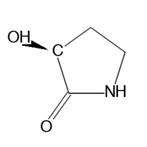 aladdin 阿拉丁 S183857 (S)-3-羟基-2-吡咯烷酮 34368-52-0 ≥98%