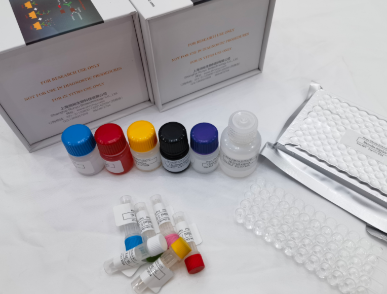 山羊胰岛素样生长因子2（IGF-2）elisa试剂盒