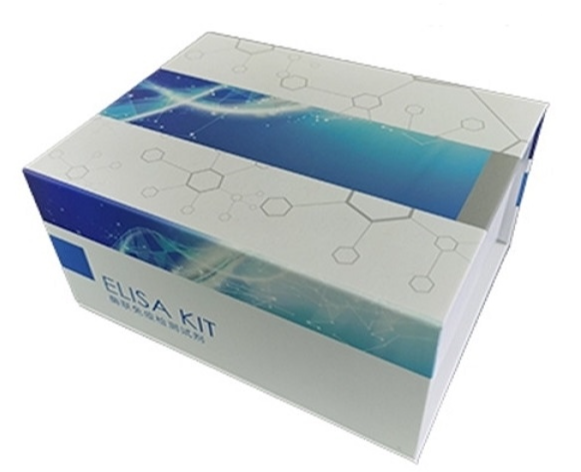 人弹性蛋白酶1(Elastase-1)ELISA试剂盒