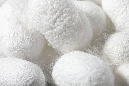 羟丙基甲基纤维素