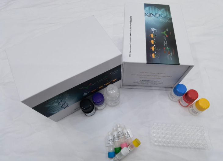 人FK506结合蛋白52（FKBP52）ELISA试剂盒