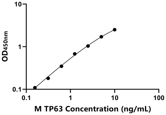 TP63 ELISA KIT / 小鼠肿廇蛋白P63 ELISA试剂盒