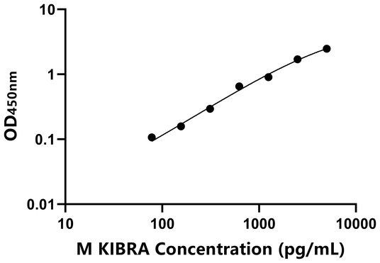 KIBRA ELISA KIT / 小鼠肾脏脑蛋白 ELISA试剂盒