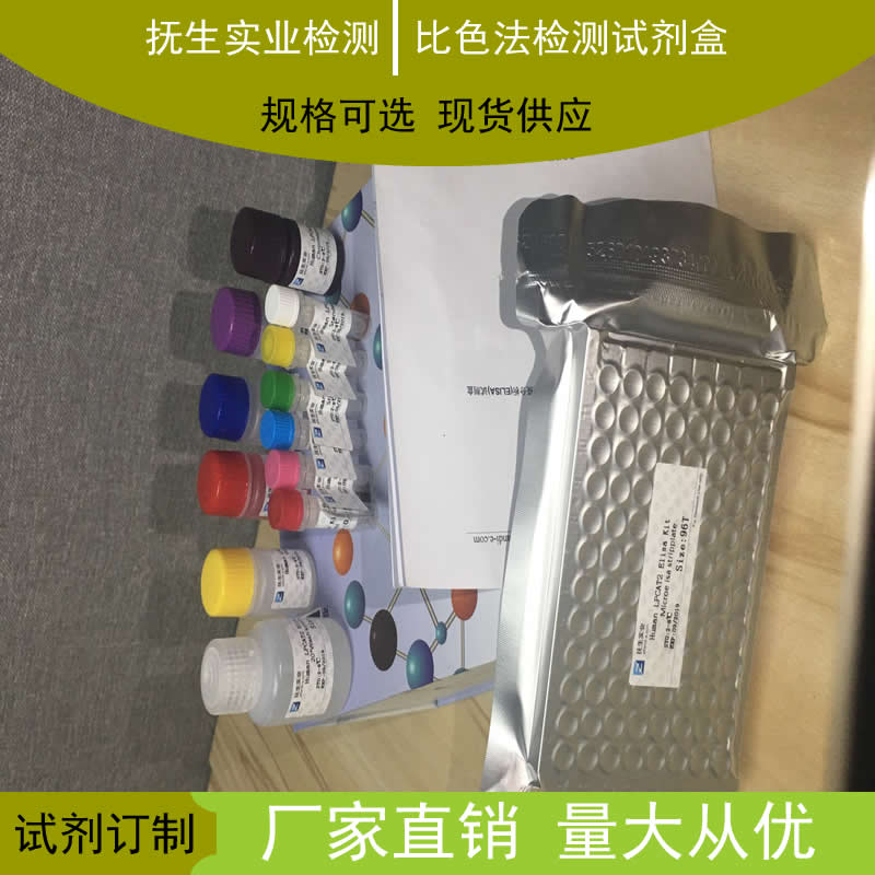 ATP柠檬酸裂解酶（ACL）测试盒（比色法）