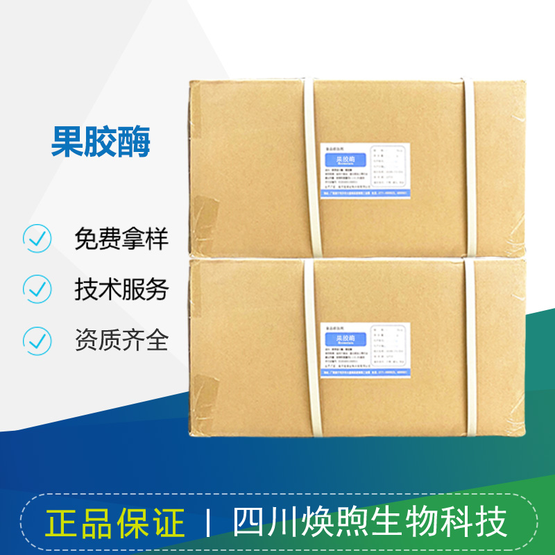 果胶酶厂家