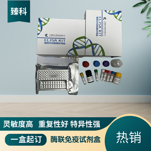 人环氧合酶2(COX-2）elisa试剂盒