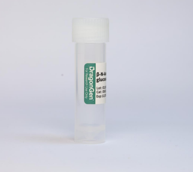 β-N-乙酰氨基葡萄糖苷酶