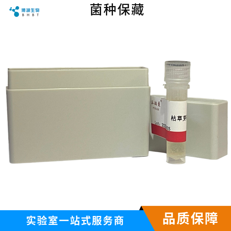 Acinetobacter portensis