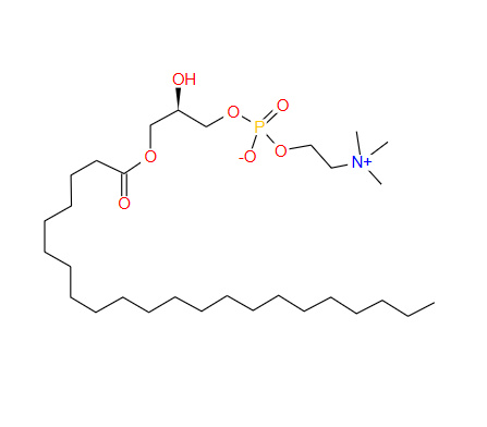 二十二烷酰溶血磷脂胆碱；125146-65-8；