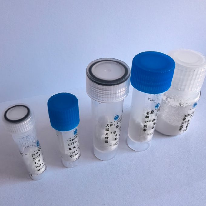 有效刺激剂多肽Neuromedin (U25), porcine/98395-76-7/Neuromedin (U25), porcine