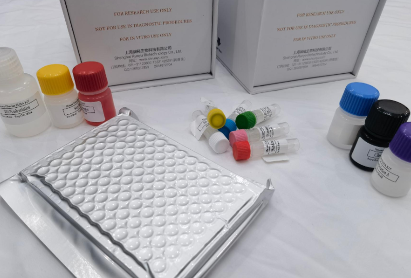 人基质裂解蛋白;基质溶素（MAT）ELISA试剂盒