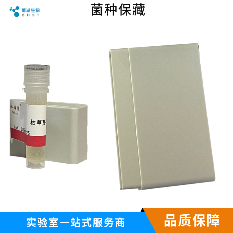 皮氏罗尔斯通氏菌